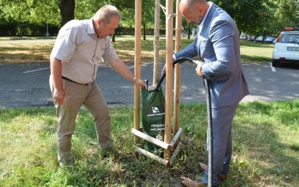 ilustrační foto