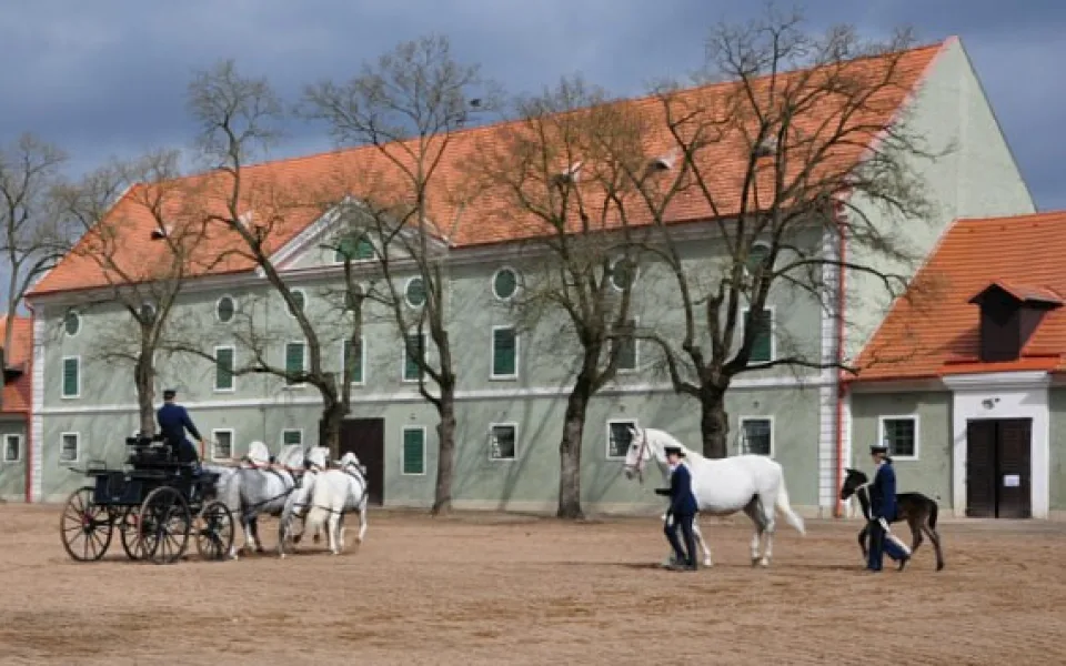 Hřebčín Kladruby
