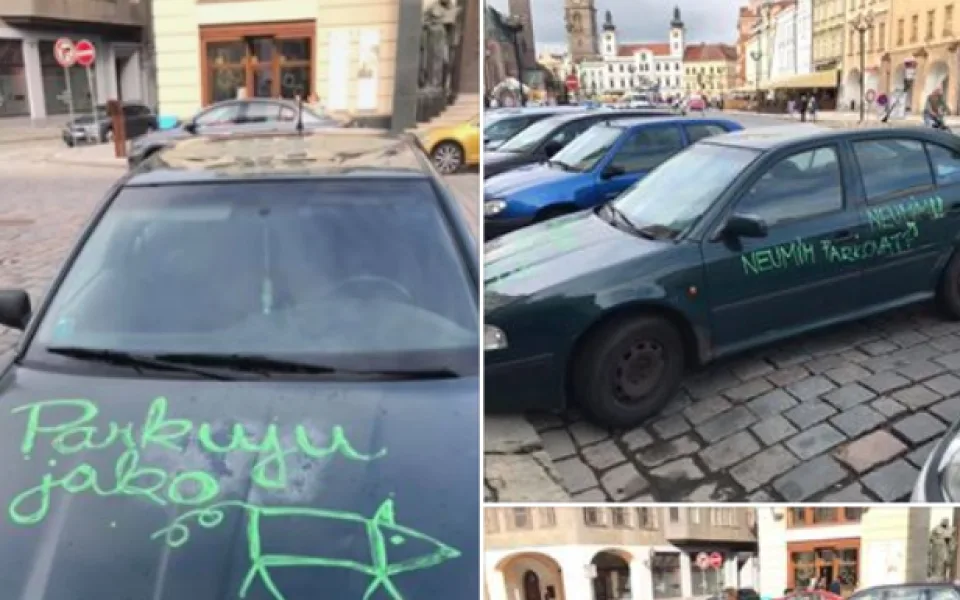Žena se se svým dílem pochlubila