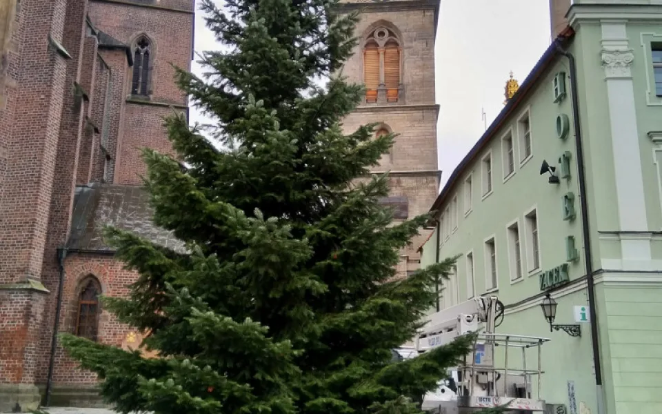 Vánoční strom na velkém náměstí