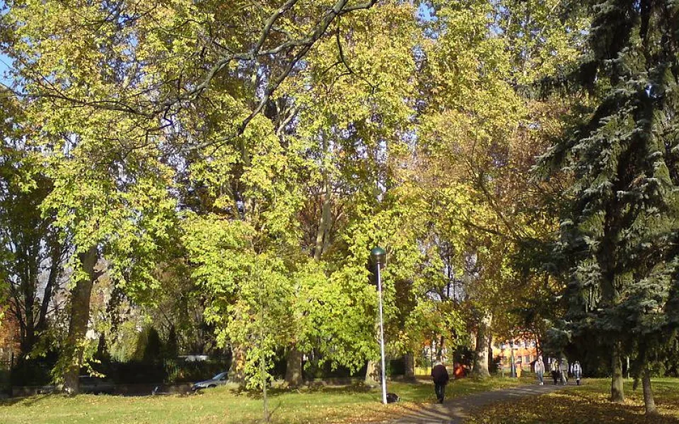Kubištovy sady