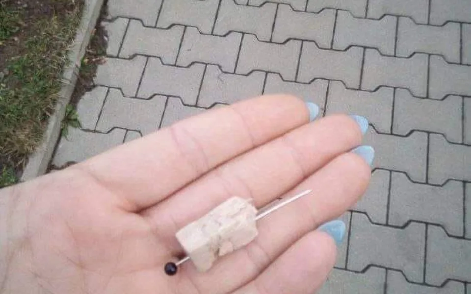 Foto návnady