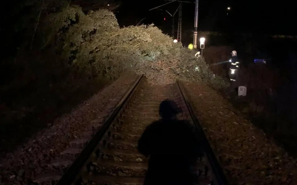 Strom na trati v Týništi nad Orlicí.