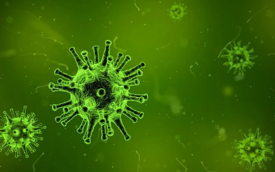VIRUS