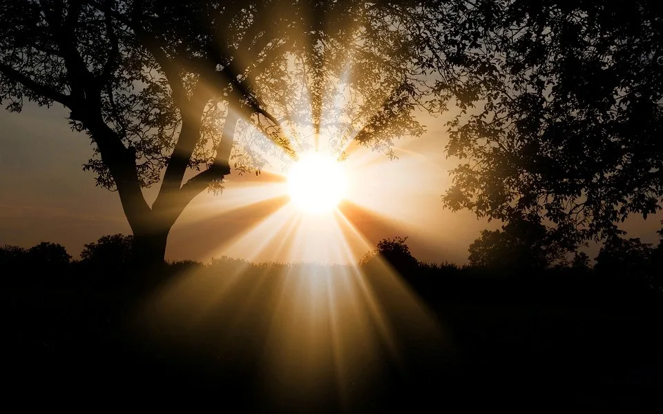 ilustrační foto