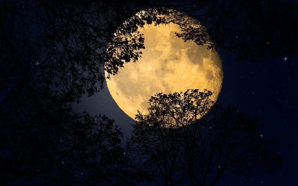 ilustrační foto