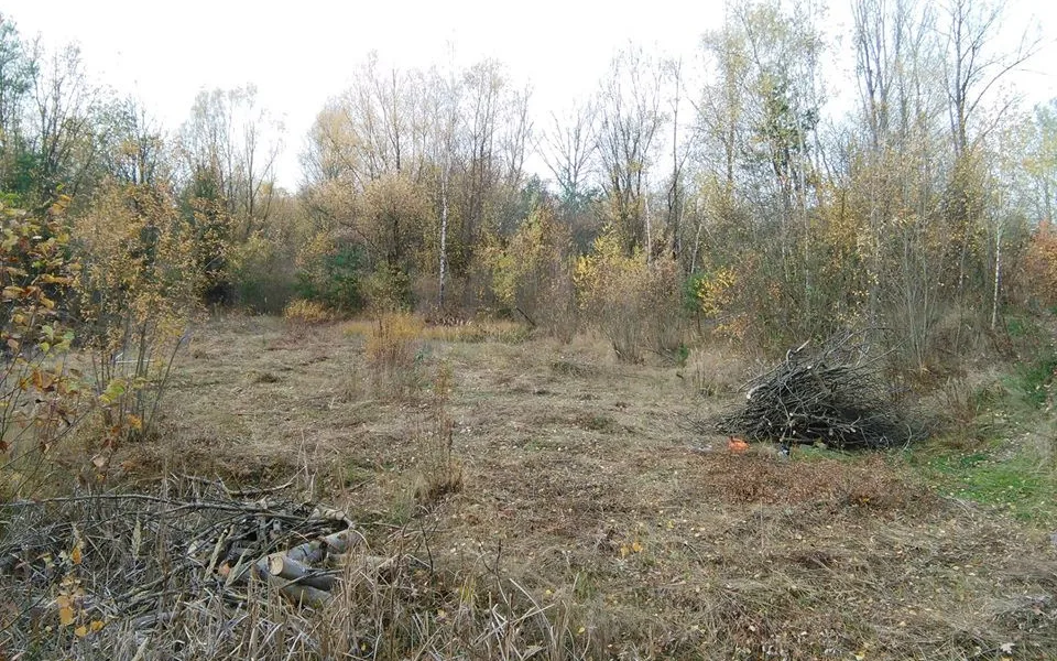 Přírodní lokalita na Plachtě v Hradci Králové