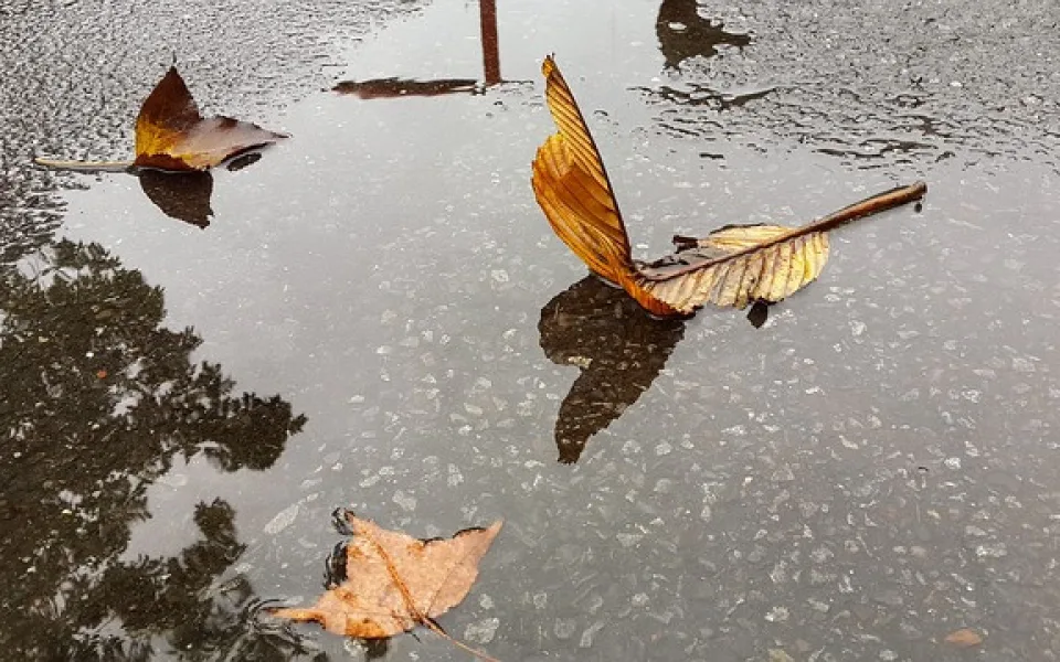 ilustrační foto