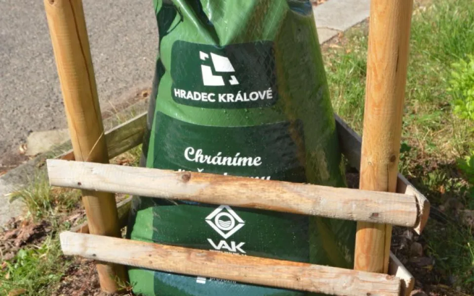 Stromy v Hradci Králové dostanou zavlažovací vaky