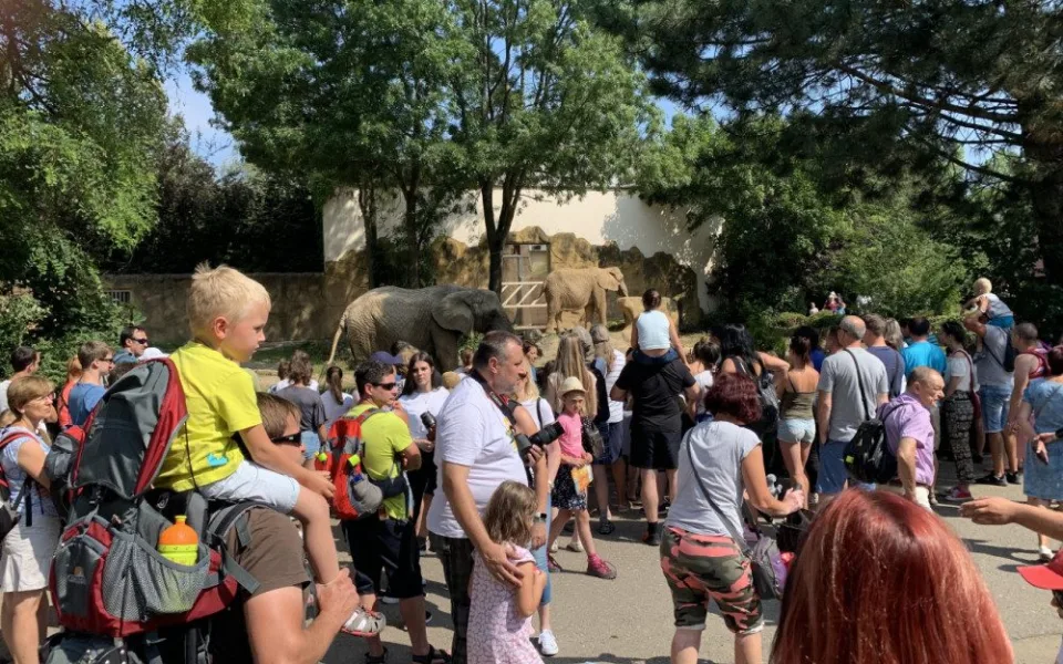 Během včerejšího odpoledne navštívilo ZOO ve Dvoře nejvíc lidí za posledních deset let. Doprava ve městě zkolabovala
