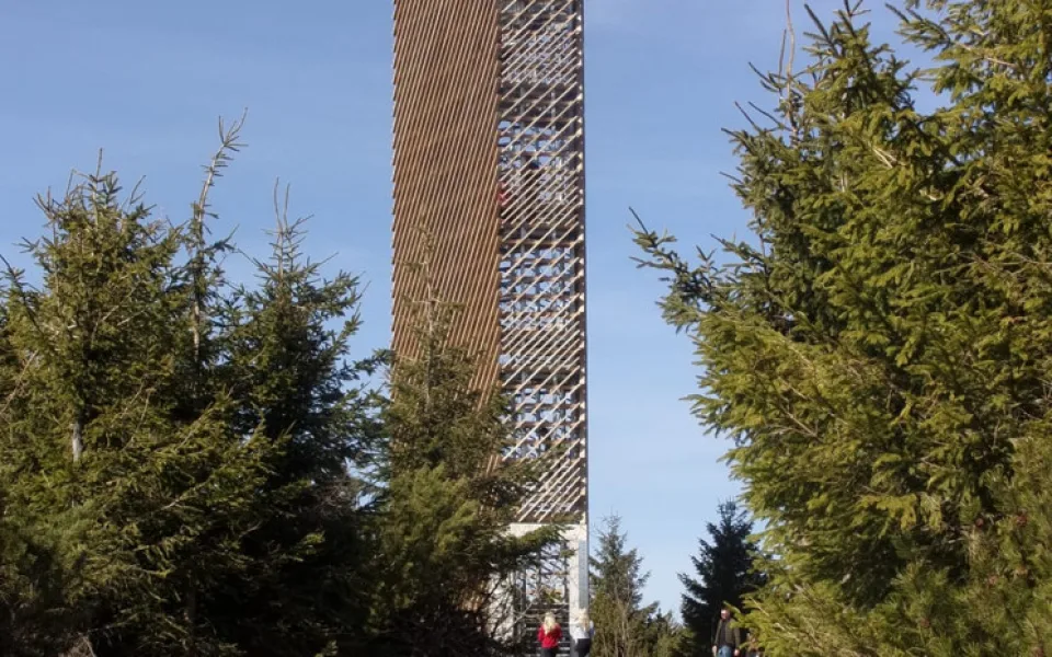 ilustrační foto