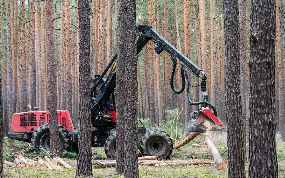 ilustrační foto