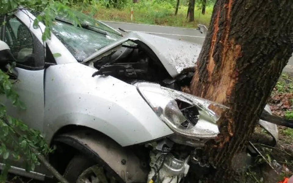 Rychlou jízdu na mokru ukončil až strom vedle silnice. Řidič je v nemocnici