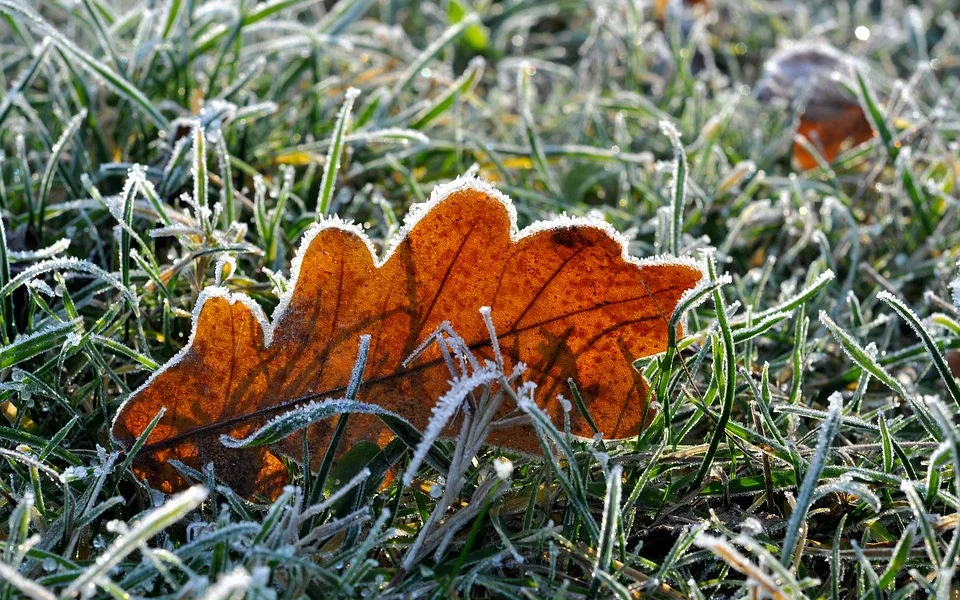 ilustrační foto