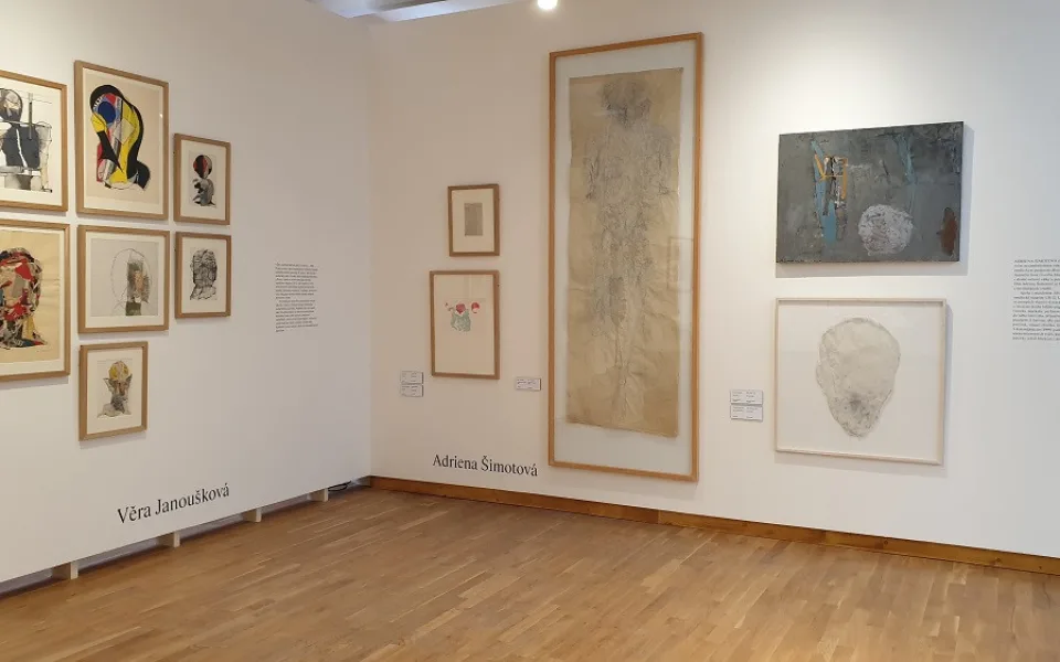 Minulé století - dvacet osobností, Věra Janoušková, Adriena Šimotová