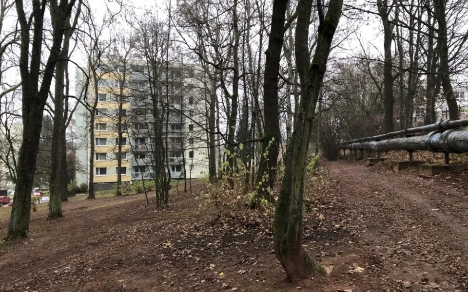 Radnice v Trutnově zrevitalizuje lesopark v Šestidomí. Během prací bude přístup do něj omezený