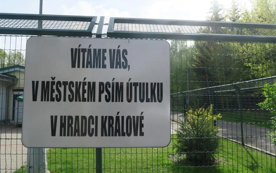 ilustrační foto