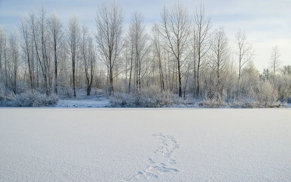ilustrační foto