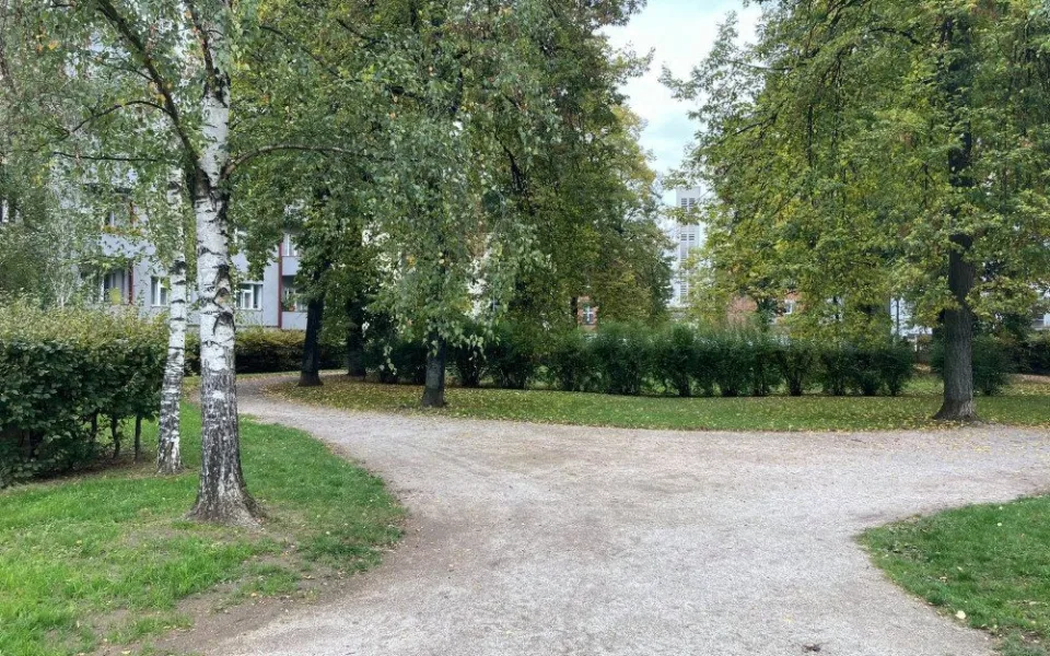 ilustrační foto