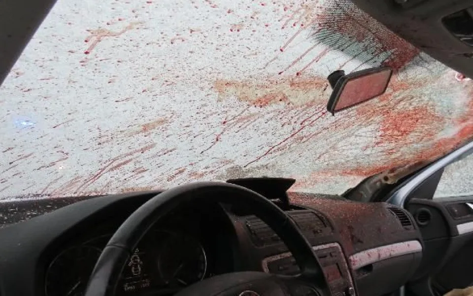 Na Trutnovsku do silnice vběhli koně. Způsobili nehodu dvou autobusů a dvou osobáků