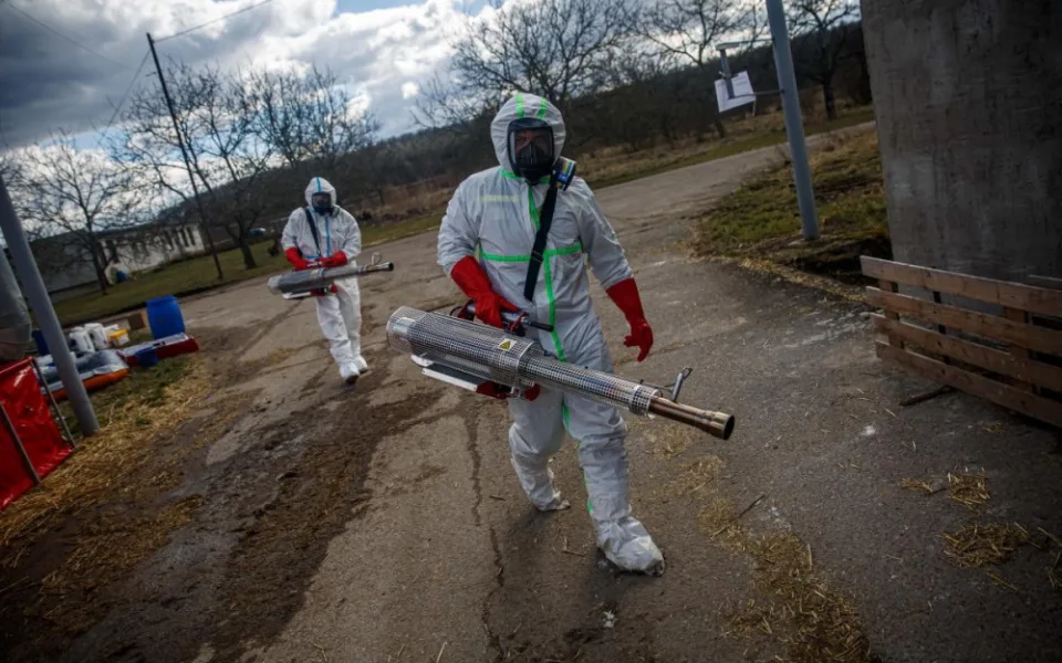 V Zábědově začala likvidace chovu kachen s ptačí chřipkou