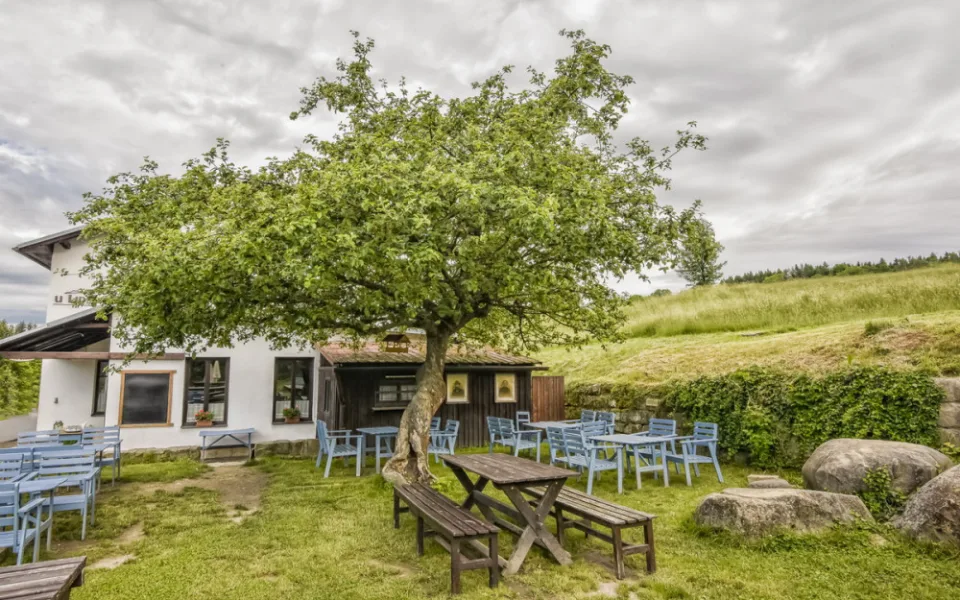 Strom roku u Lidmanů se dočkal odborné péče. Jabloň ošetřil arborista