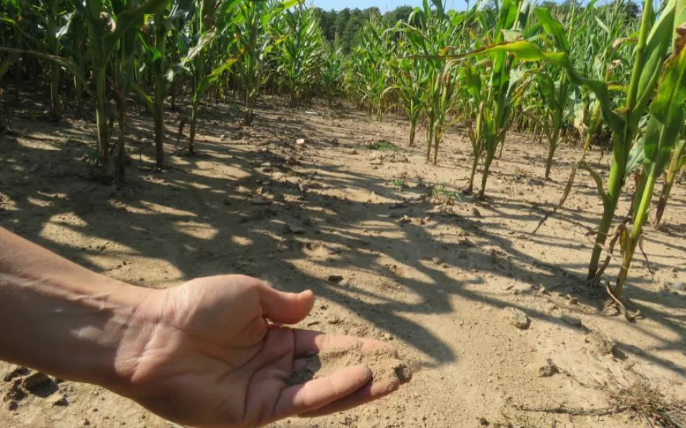 Broumovsko chce bojovat s klimatickými změnami