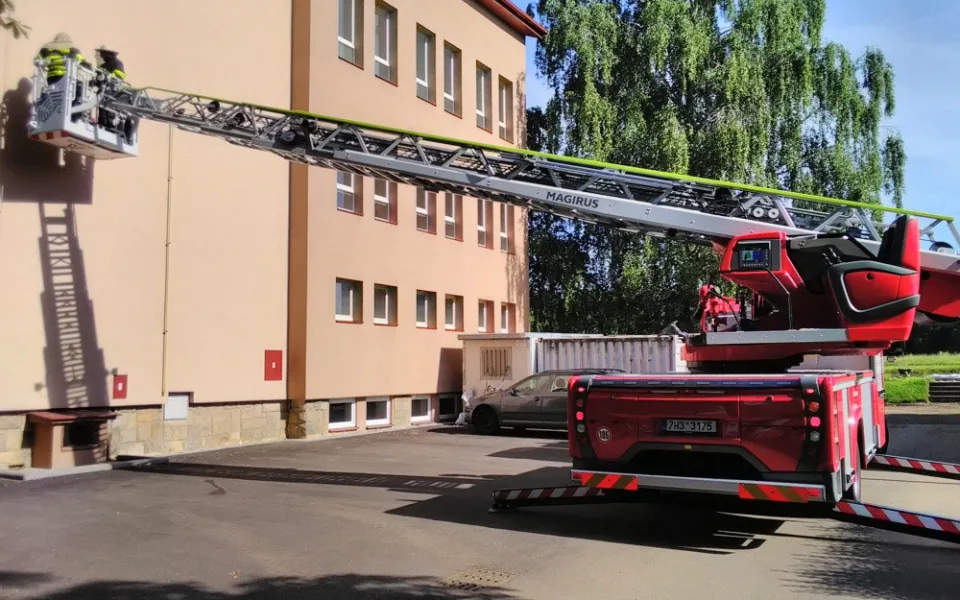 Jak se zbavit sršní? Pokud je v rodině alergik, pomohou i hasiči