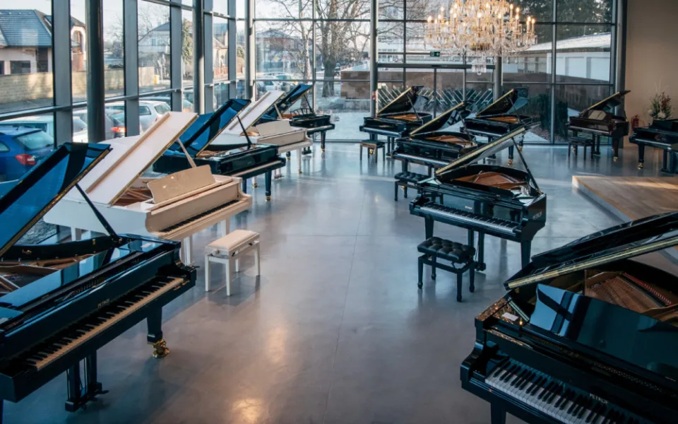 Petrof Gallery