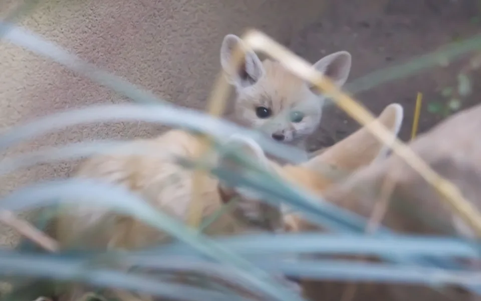 Safari Park ode dneška přechází na zimní sezonu, vstupné vyjde levněji