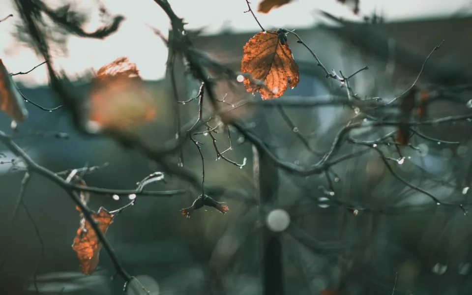 ilustrační foto