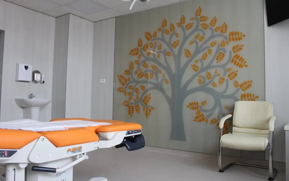 Rekonstrukce pavilonu rychnovské nemocnice vyšla na 60 milionů. Nové jsou i porodní boxy