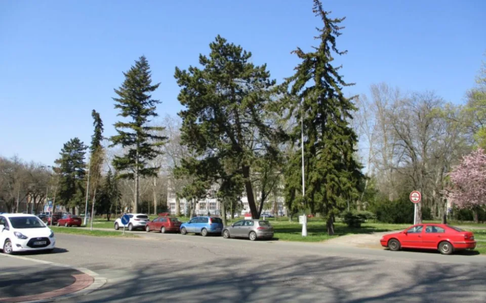 ilustrační foto