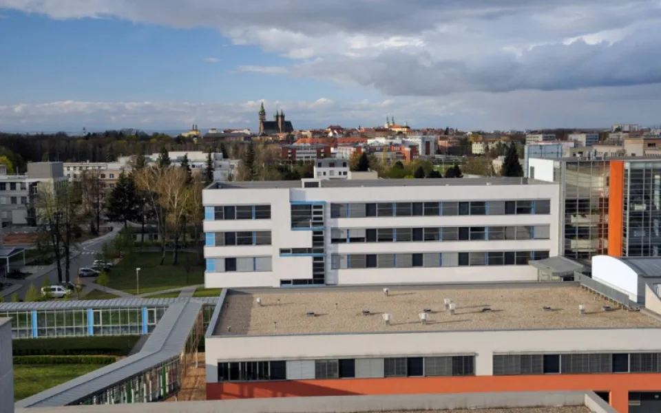 ilustrační foto