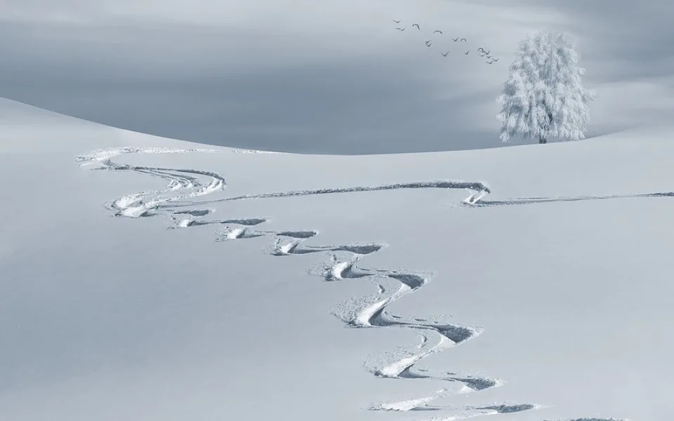 ilustrační foto