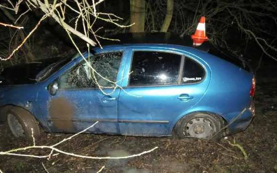 Devatenáctiletý mladík popil a sedl za volant. V zatáčce narazil do stromu a zranil spolujezdce