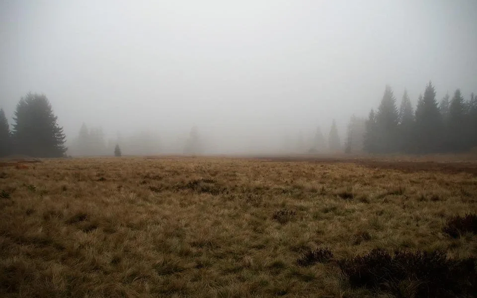 ilustrační foto