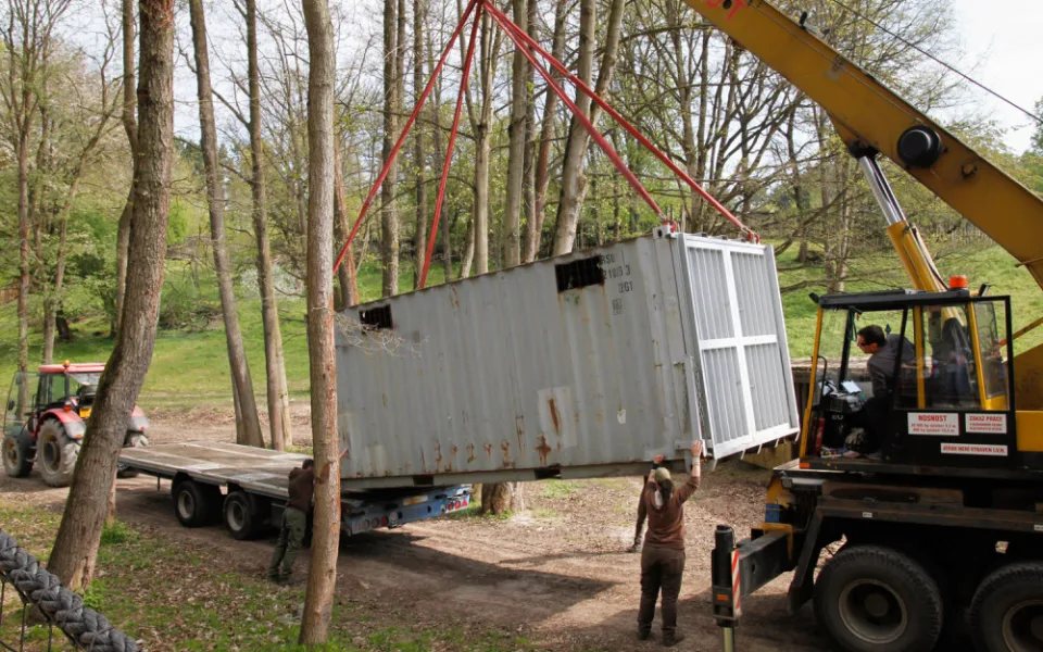 Safari Park Dvůr Králové vypustil do venkovní expozice stádo sedmi hrochů