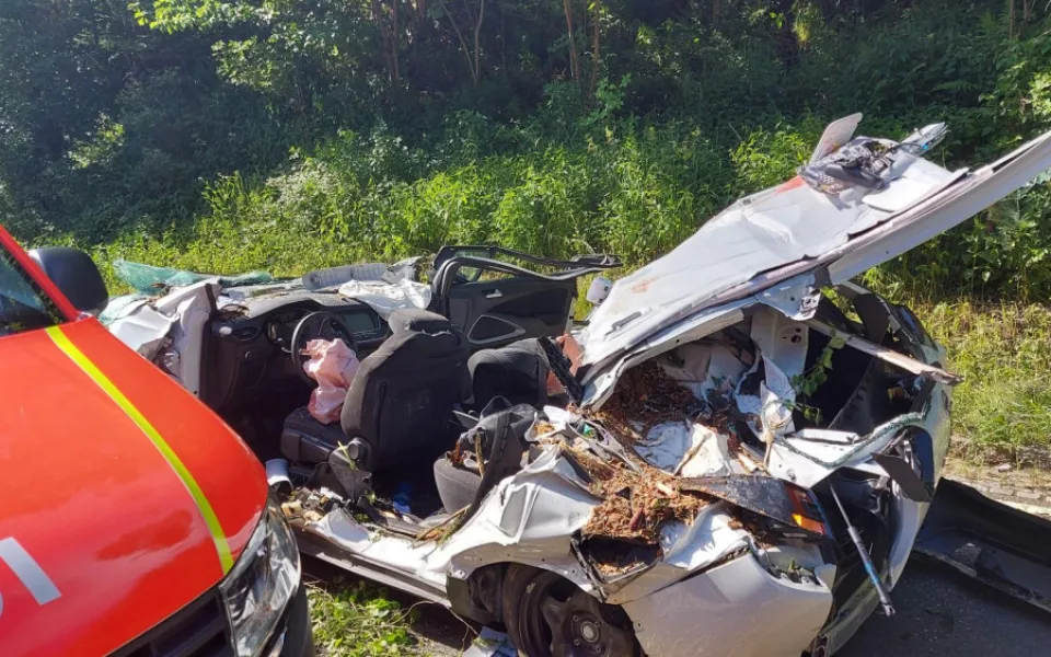 KRNAP nechá v místě tragického pádu smrku na auto vykácet možné rizikové stromy