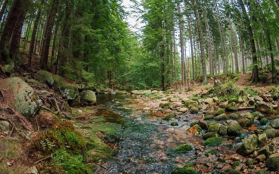 Se začínajícími prázdninami startuje turistická sezona v Krkonoších. Na turisty si posvítí strážci parku