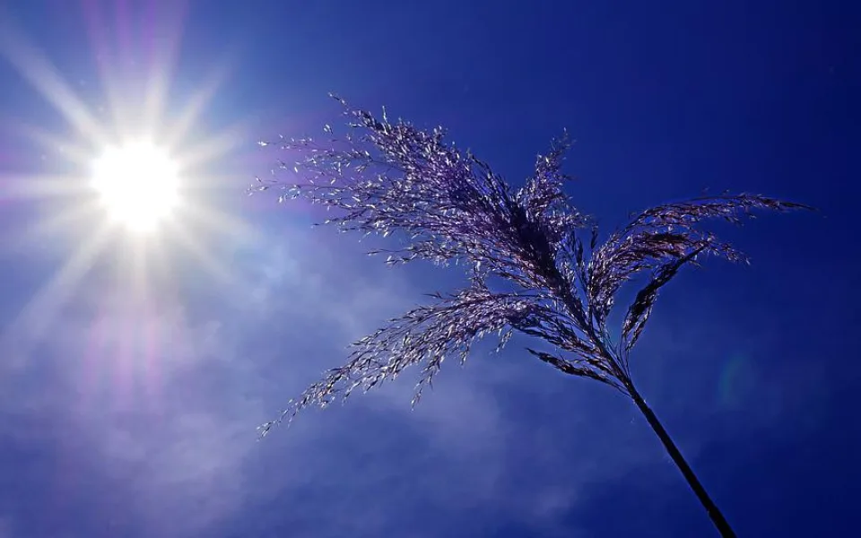 Meteorologové vydávají varování před vysokými teplotami. Vystoupají ke 34 stupňům