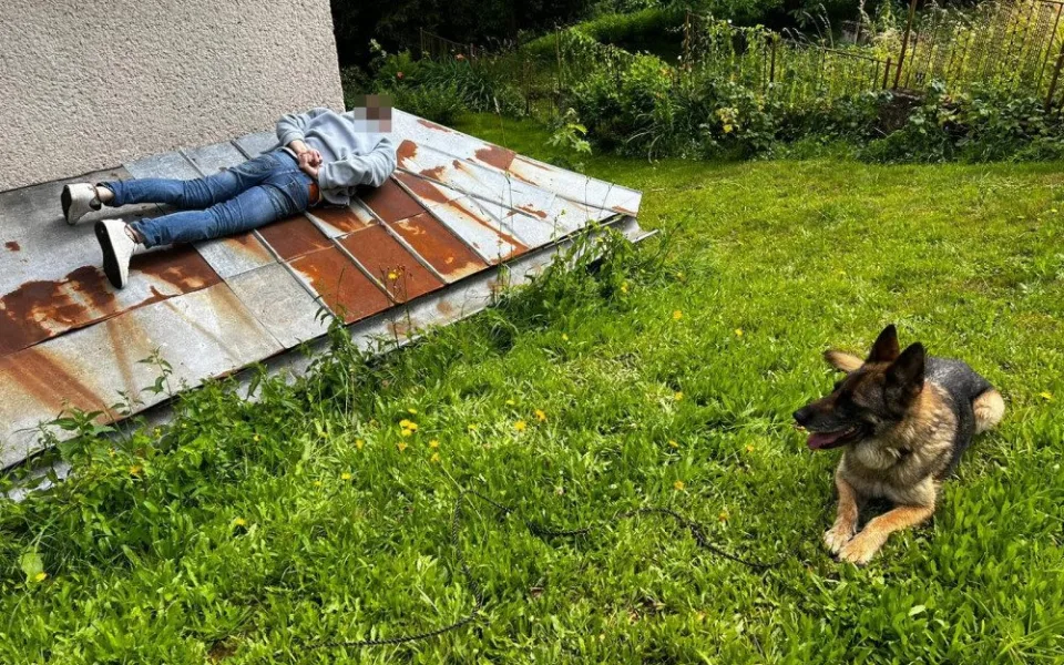 Vykradač chatek se chtěl schovat na střeše. Policejní fena Dora ho z ní sundala