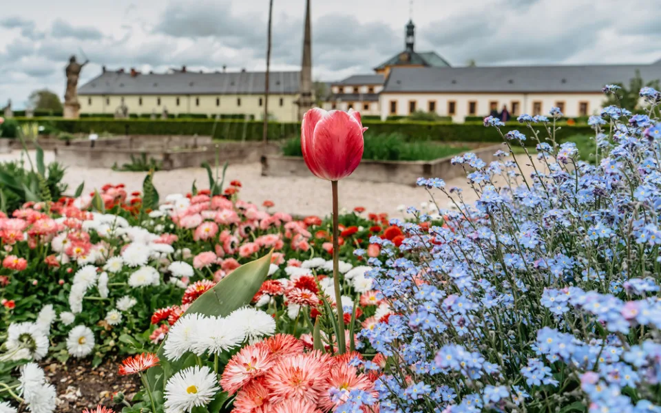 Kam s dětmi vyrazit? Tipy na výlety zdarma