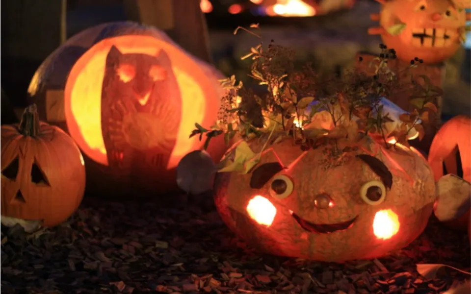 Dvorskou zoo při Týdnu duchů zaplní přes deset tun dýní, ukáže mladé
