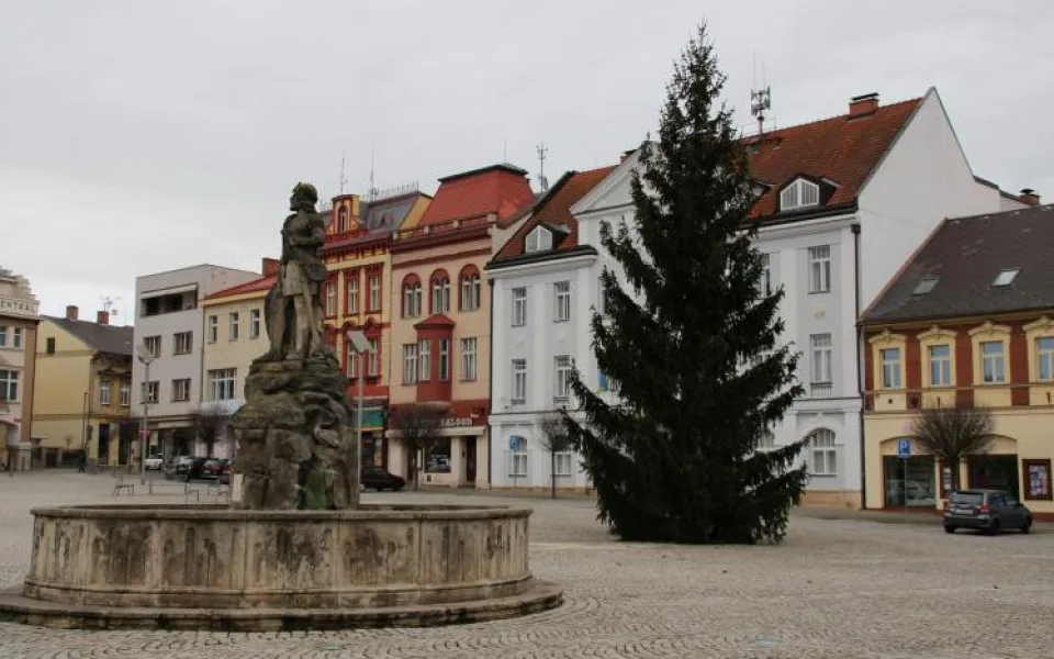 Vánoční strom ve Dvoře Králové nad Labem