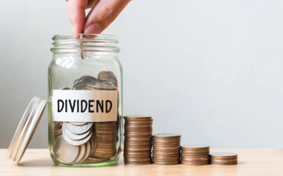 dividend