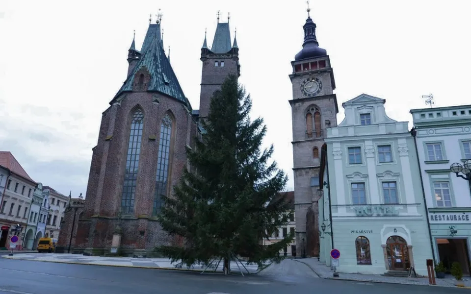 Vánoční strom na Velkém náměstí v Hradci Králové