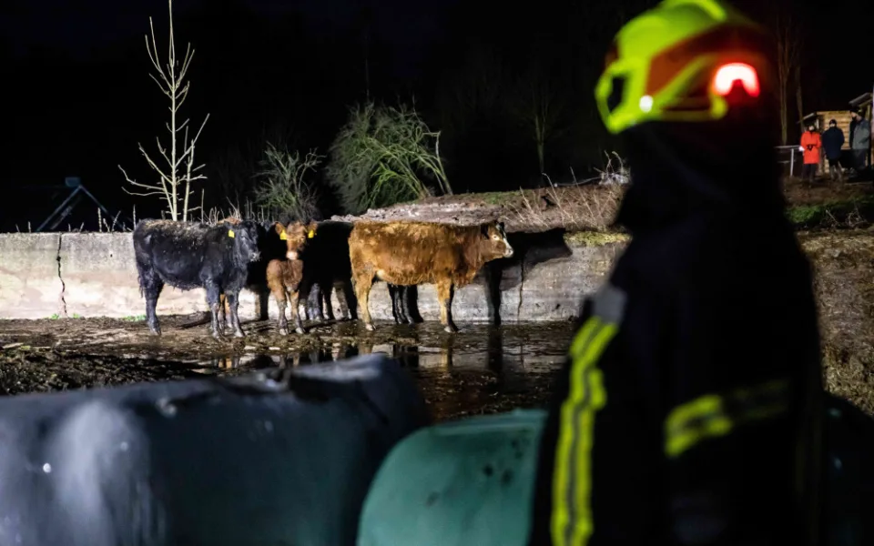 Na Trutnovsku zachvátil požár stáje. Uhynulo asi 150 krav