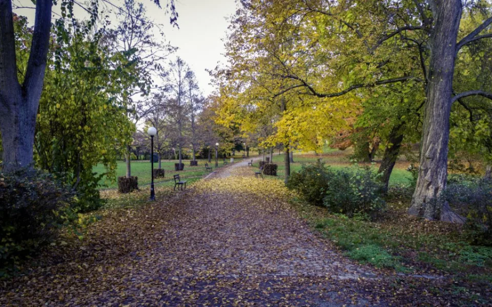 Dvůr Králové chce revitalizovat park Schulzovy sady. Jeho novou podobu mohou ovlivnit místní.