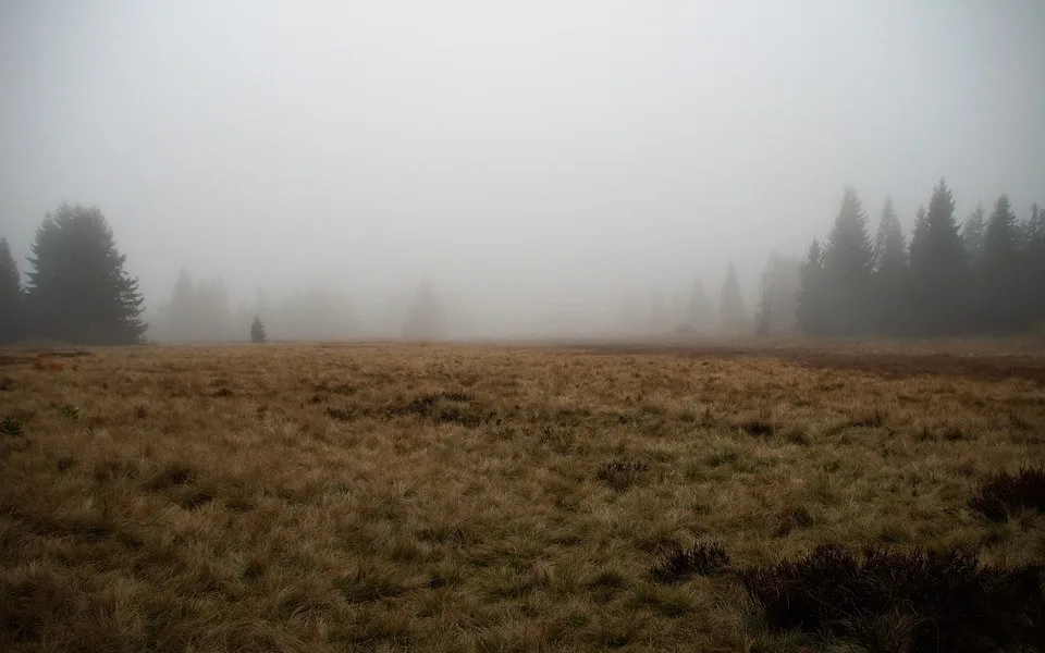 ilustrační foto